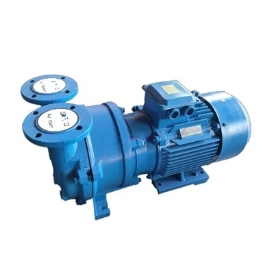 Pompa per vuoto del compressore d'aria